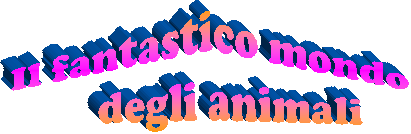 Il fantastico mondo
    degli animali